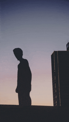 a silhouette of a person standing next to a tall building