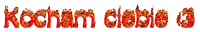 the word kocham is written in red flames