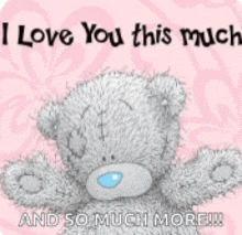 a teddy bear says i love you this much and so much more !