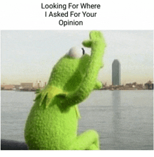 kermit the frog is looking for where he asked for his opinion