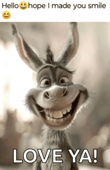 a picture of a donkey with the caption hello hope i made you smile