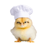 a small chicken wearing a chef 's hat looks angry