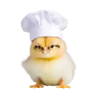 a small chicken wearing a chef 's hat looks angry