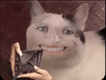 a cat is smiling while holding a wallet in front of its face