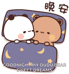a cartoon of two bears sleeping under a blanket with the words goodnight my dudu bear sweet dreams