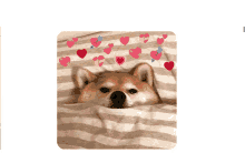 a dog laying under a blanket with hearts on it