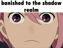 a picture of a girl with the words " banished to the shadow realm " on it