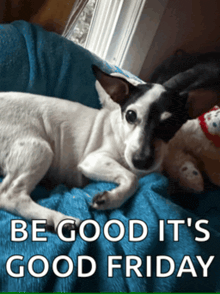 a black and white dog laying on a blue blanket with the words " be good it 's good friday "