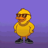 a cartoon duck wearing sunglasses and a chain around its neck is walking on a pink background that says duckcoin