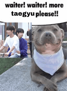 a picture of two men and a dog with the caption " waiter waiter more taegyu please !! "
