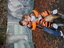 two children in tiger costumes are hugging each other in front of elephants