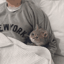 a man wearing a grey new york sweatshirt holds a cat in his arms