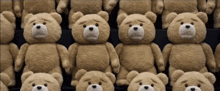 several teddy bears are lined up in a row with sad faces