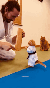 a cat in a karate uniform is standing on its hind legs next to a man holding a wooden block