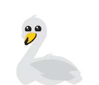 a white swan with a yellow beak and a black beak