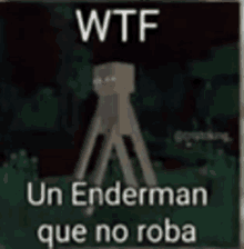 a picture of an enderman in a minecraft video game .