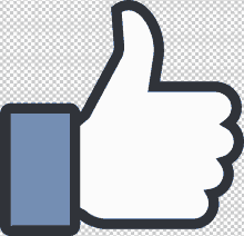 a facebook thumbs up icon with a blue border