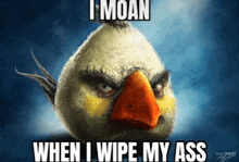 a picture of an angry bird with the caption moan when i wipe my ass