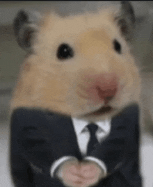 a hamster wearing a suit and tie is holding its hands together .