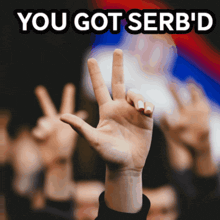 a sign that says you got serb 'd with a hand giving the peace sign