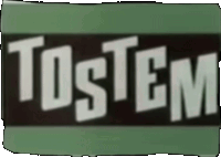 the word tostem is on a green background