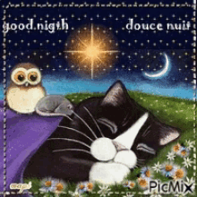 a picture of a cat and an owl that says good night in french