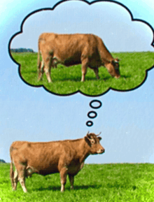 two cows are grazing in a field with a thought bubble above them that says 00