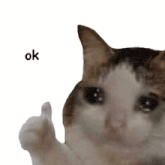 a crying cat is giving a thumbs up with the word ok below it