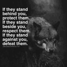 a black and white photo of a wolf with a quote about protecting others