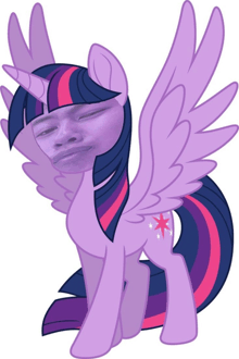twilight sparkle from my little pony with a man 's face on it