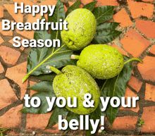 a happy breadfruit season to you and your belly card