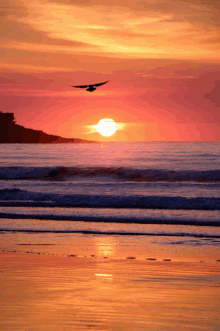 a sunset over the ocean with a bird flying in the sky