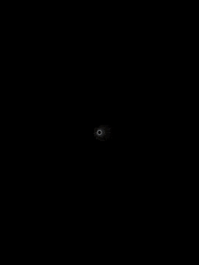 a white circle with a black circle in the center
