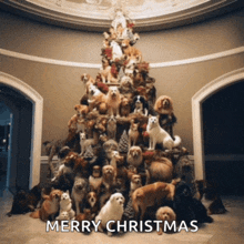 a picture of a christmas tree made of dogs with merry christmas written on the bottom