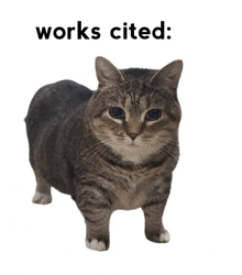 a cat with the words works cited written above it