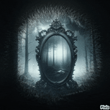 a picture of a mirror in a dark forest with pixiz written on the bottom