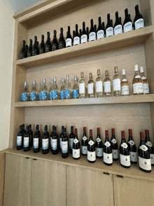 a shelf full of bottles of wine including a bottle that says ' avignon ' on it