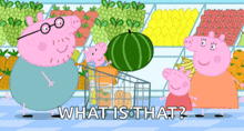 a cartoon of peppa pig and her family in a grocery store with the words what is that below them