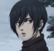 mikasa ackerman from attack on titan is wearing a scarf around her neck and looking at the camera .