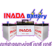 three inada batteries are displayed on a purple background