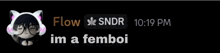 a screenshot of a chat with flow sndr 10:19 pm and im a femboi
