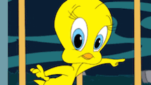 a cartoon character named tweety is pointing to the right