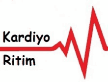 a red heartbeat line with the words kardiyo ritmi written below it .