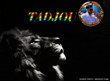 a black and white photo of a lion with the name tadjou