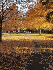 angela is written on the side of a park