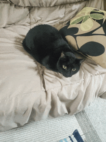 a black cat laying on a bed next to a pillow