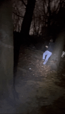 a person walking through a dark forest with a flashlight