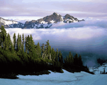 a mountain covered in snow and clouds with trees on the side