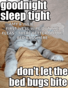 a cat laying on a bed with the words goodnight sleep tight amy & julie