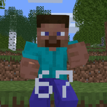 a minecraft character with a number 67 on his pants
